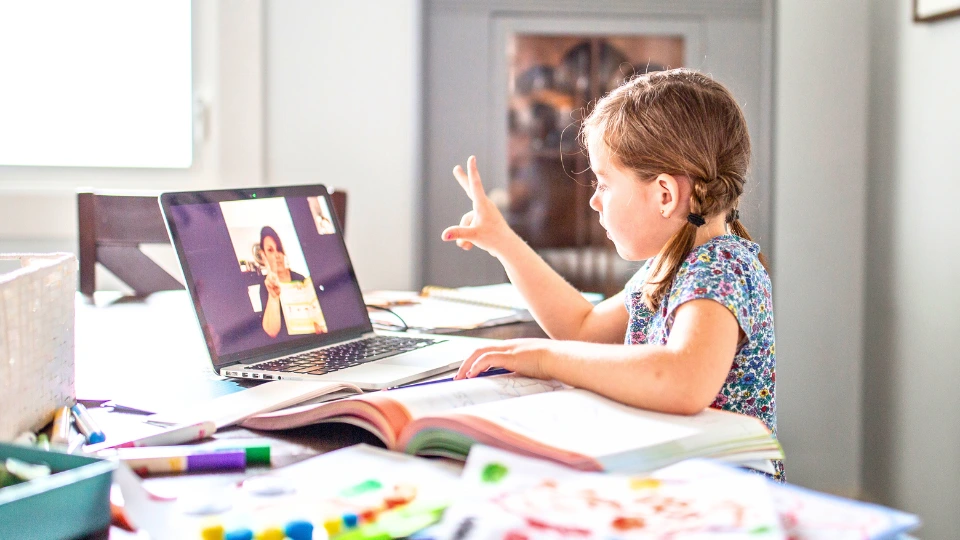 Online Learning